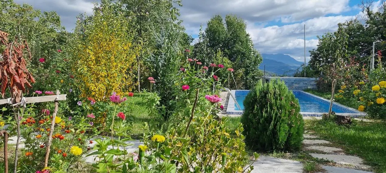 Pensionat Vila Elektra Hotell Tirana Albanien