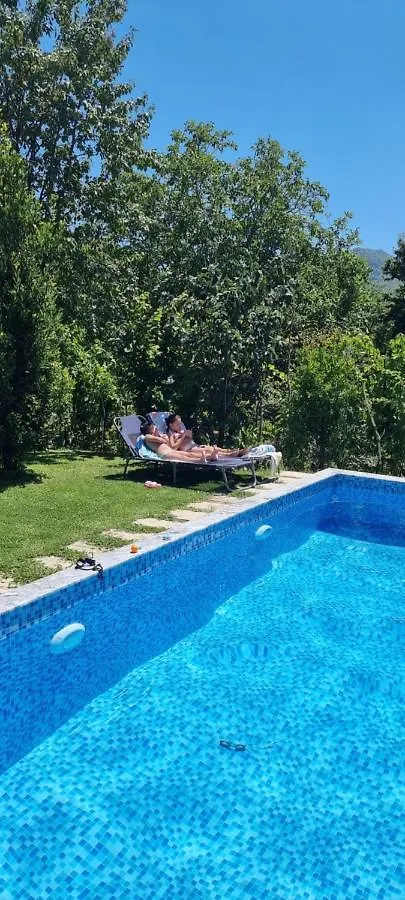 Vila Elektra Hotell Tirana 0*,
