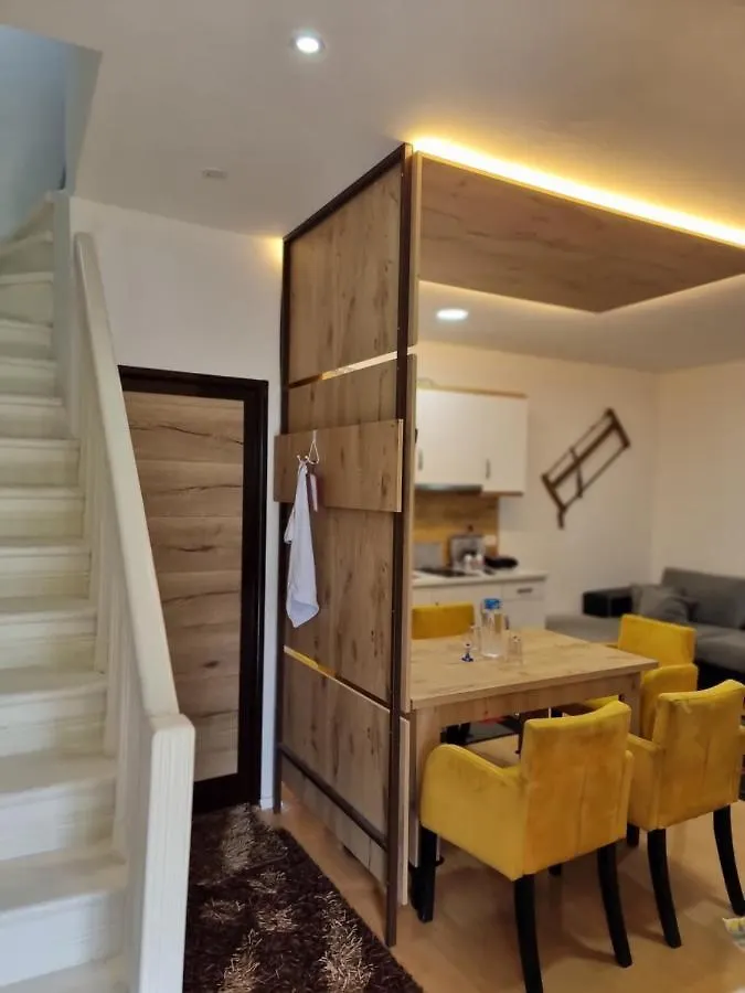 Vila Elektra Hotell Tirana Pensionat