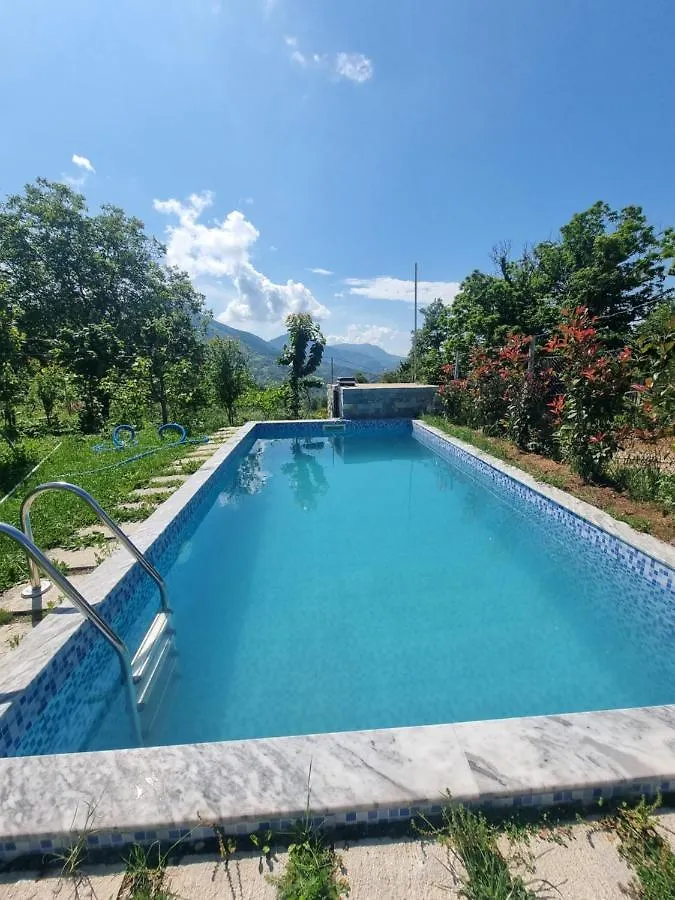 Vila Elektra Hotell Tirana Pensionat