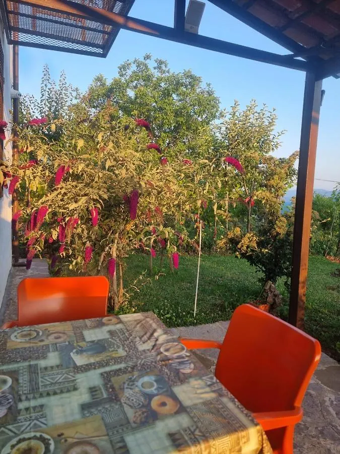 Vila Elektra Hotell Tirana
