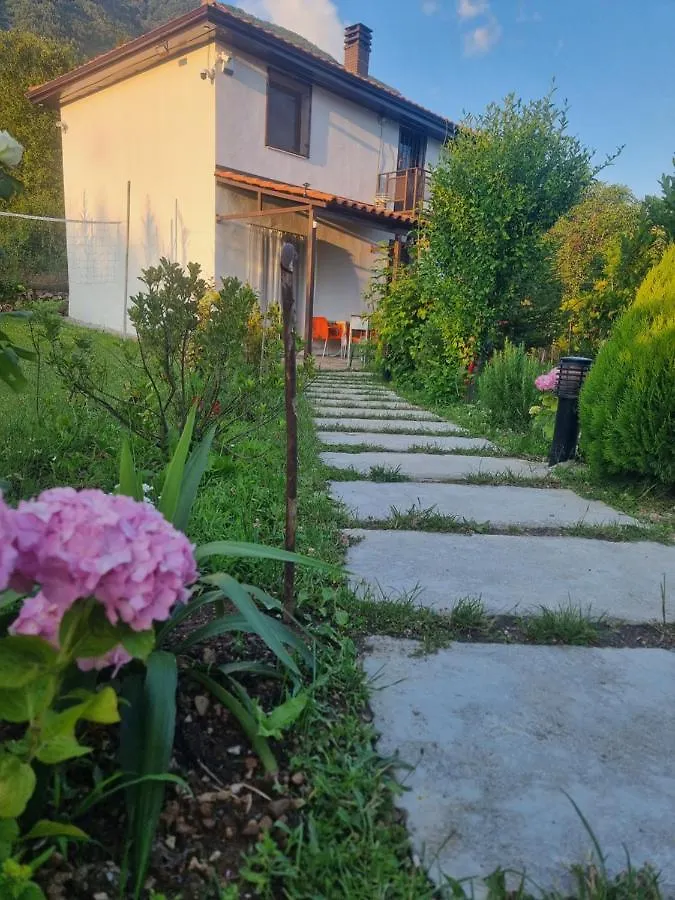 Pensionat Vila Elektra Hotell Tirana