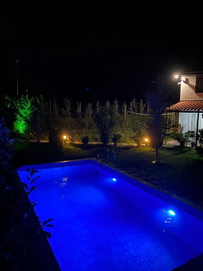 Pensionat Vila Elektra Hotell Tirana