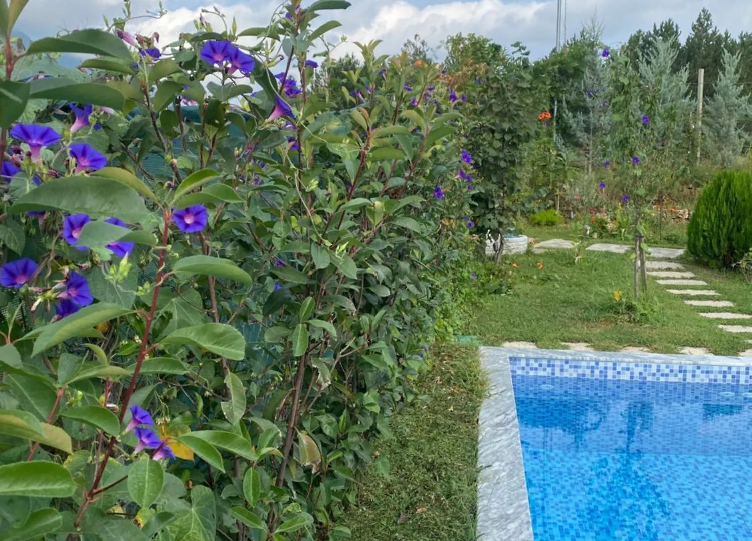Pensionat Vila Elektra Hotell Tirana Albanien