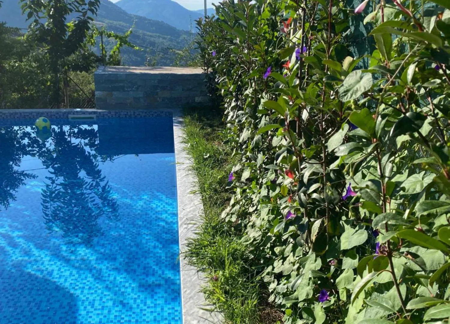 Vila Elektra Hotell Tirana 0*,