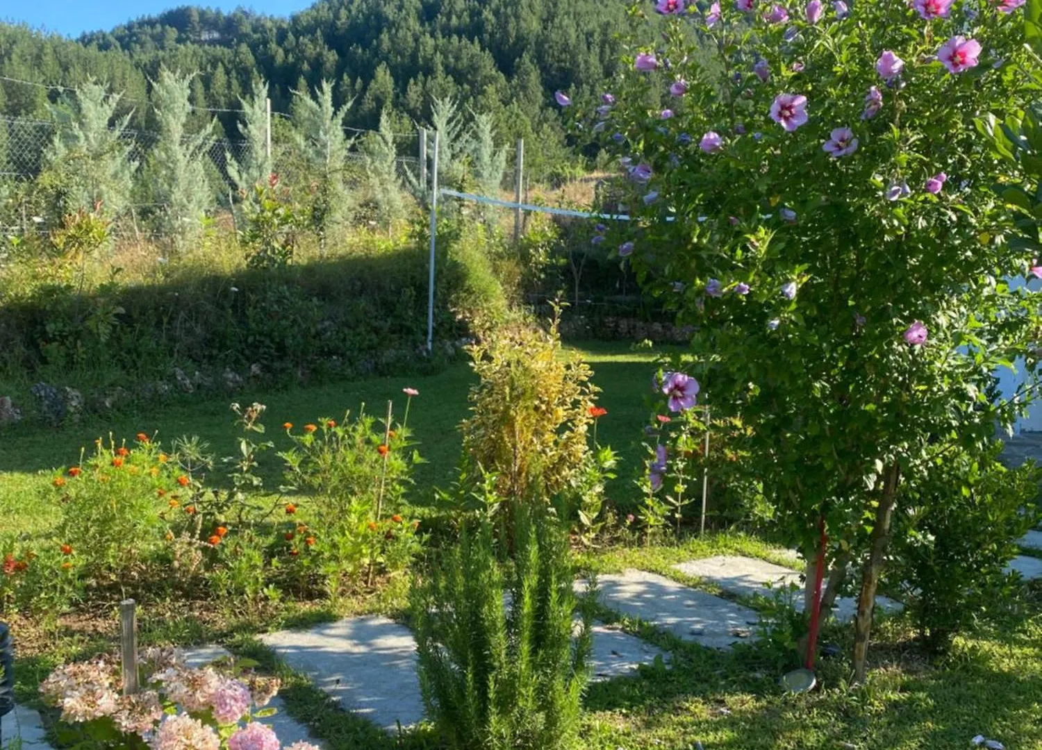 Vila Elektra Hotell Tirana